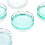 จานเพาะเชื้อ แก้ว Glass Petri Dishes 1 คู่ (จาน+ฝา) - Image 12