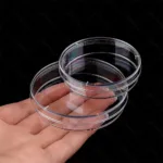 จานเพาะเชื้อ พลาสติก Disposable Plastic Petri Dishes เซ็ต 10 คู่ (จาน+ฝา) - Image 12