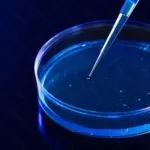 จานเพาะเชื้อ พลาสติก Disposable Plastic Petri Dishes เซ็ต 10 คู่ (จาน+ฝา) - Image 15