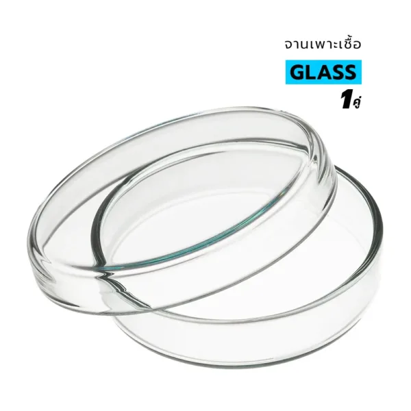 จานเพาะเชื้อ แก้ว Glass Petri Dishes 1 คู่ (จาน+ฝา)