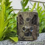 กล้องอินฟราเรด Night Vision กล้องถ่ายสัตว์ป่า พรางตัว 4K - Image 9