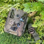 กล้องอินฟราเรด Night Vision ถ่ายสัตว์ป่า พรางตัว 4K