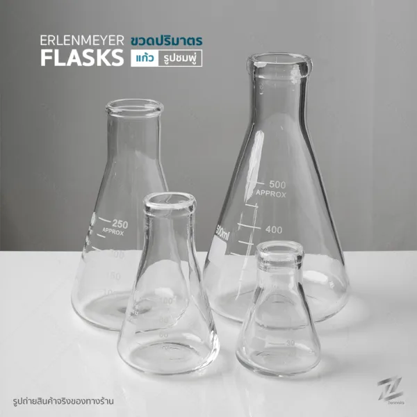 ขวดรูปชมพู่ Erlenmeyer Flasks 1 ชิ้น